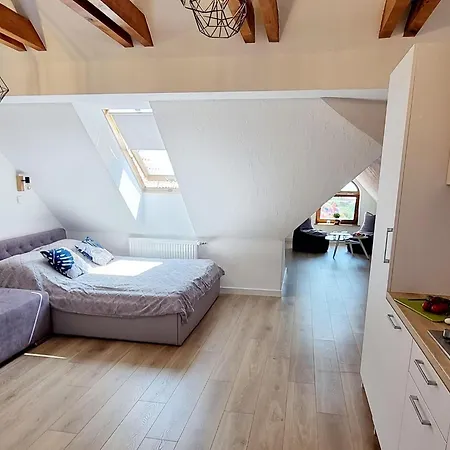 Apartment In A
